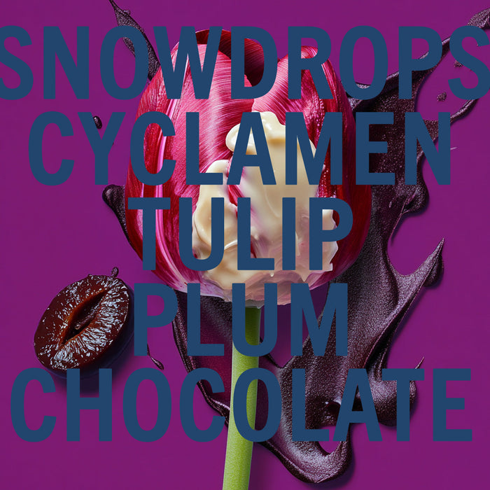 Black Tulip 10ml Purse Spray, Plum, White Chocolate & Cyclamen, image 2