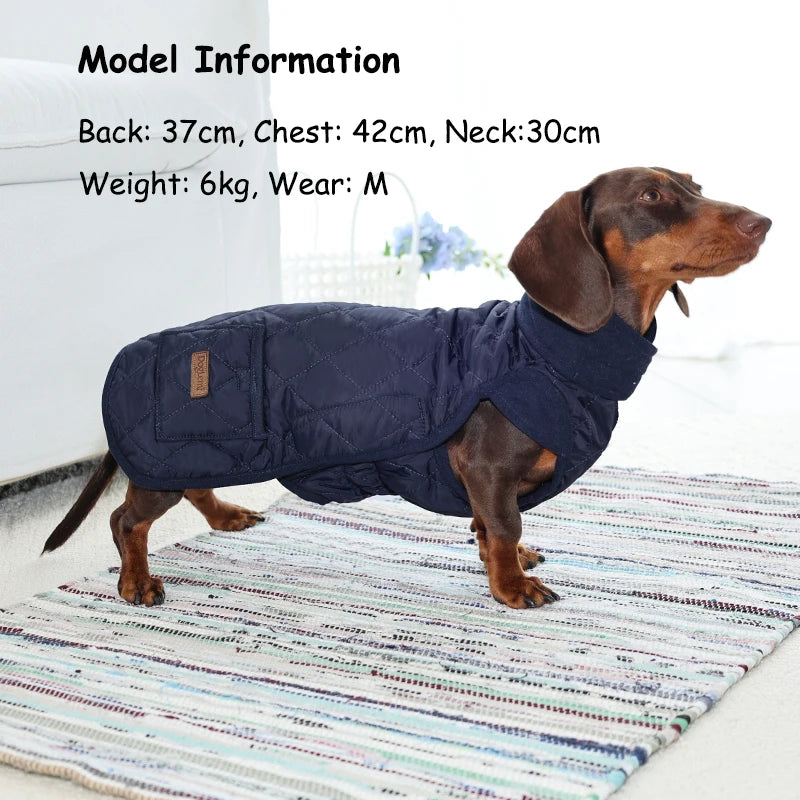 Dachshund Winter Coat, Water-Repellent