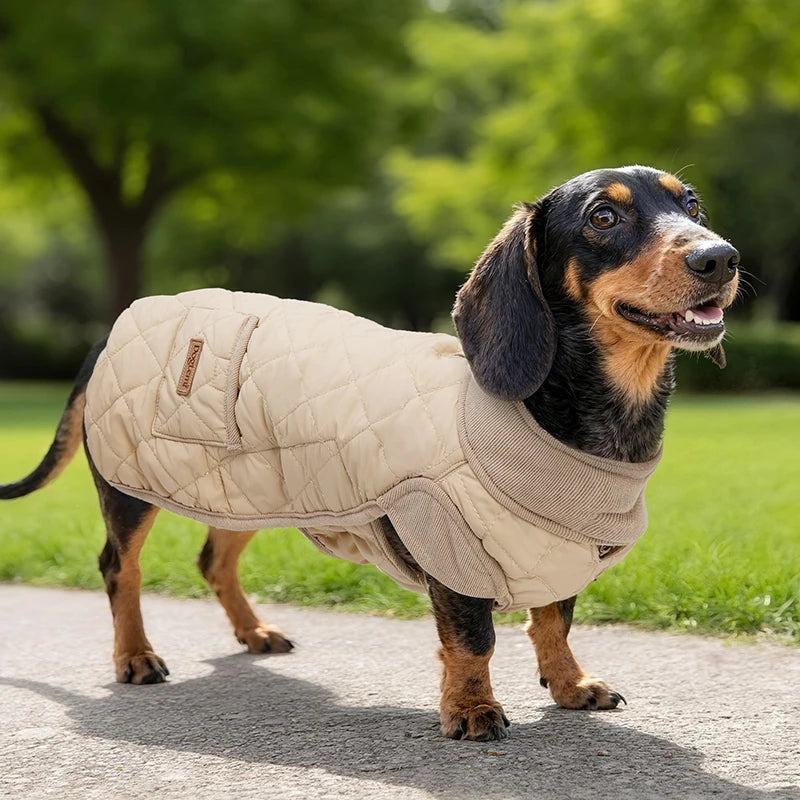 Dachshund Winter Coat, Water-Repellent
