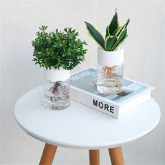 Mini Hydroponic Plant Pot – Transparent Self-Watering Vase for Home & Office