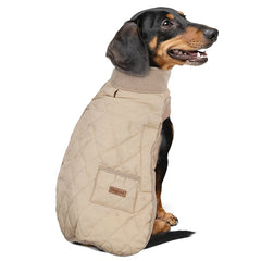 Dachshund Winter Coat, Water-Repellent