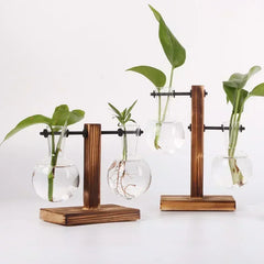 Hydroponic Plant Terrarium – Glass Vase with Wooden Stand for Home & Office