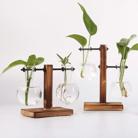 Hydroponic Plant Terrarium – Glass Vase with Wooden Stand for Home & Office