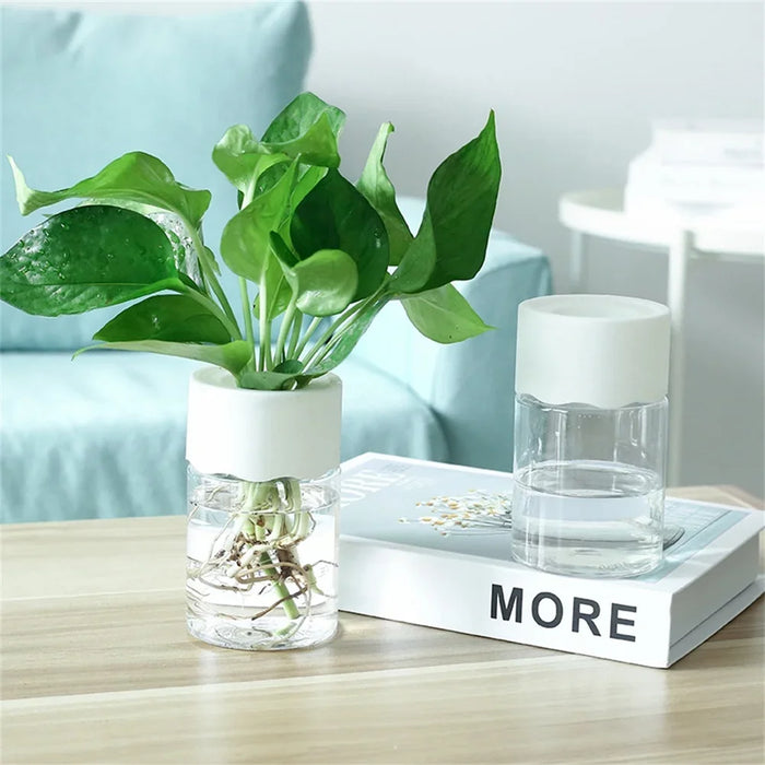 Mini Hydroponic Plant Pot, Transparent Self-Watering Vase for Home & Office, image 2