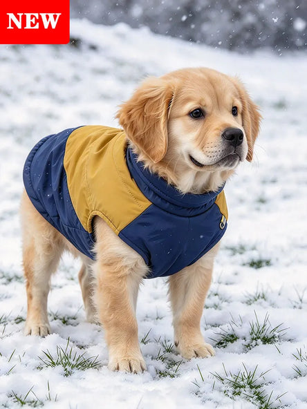 Waterproof padded dog jacket, Navy and Mustard