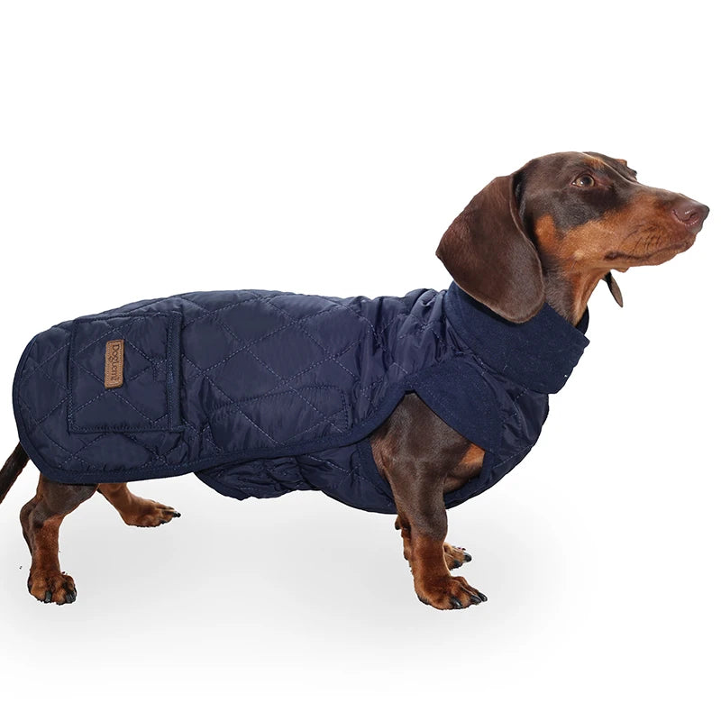 Dachshund Winter Coat, Water-Repellent
