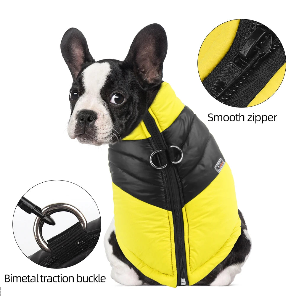Waterproof Padded Dog Jacket
