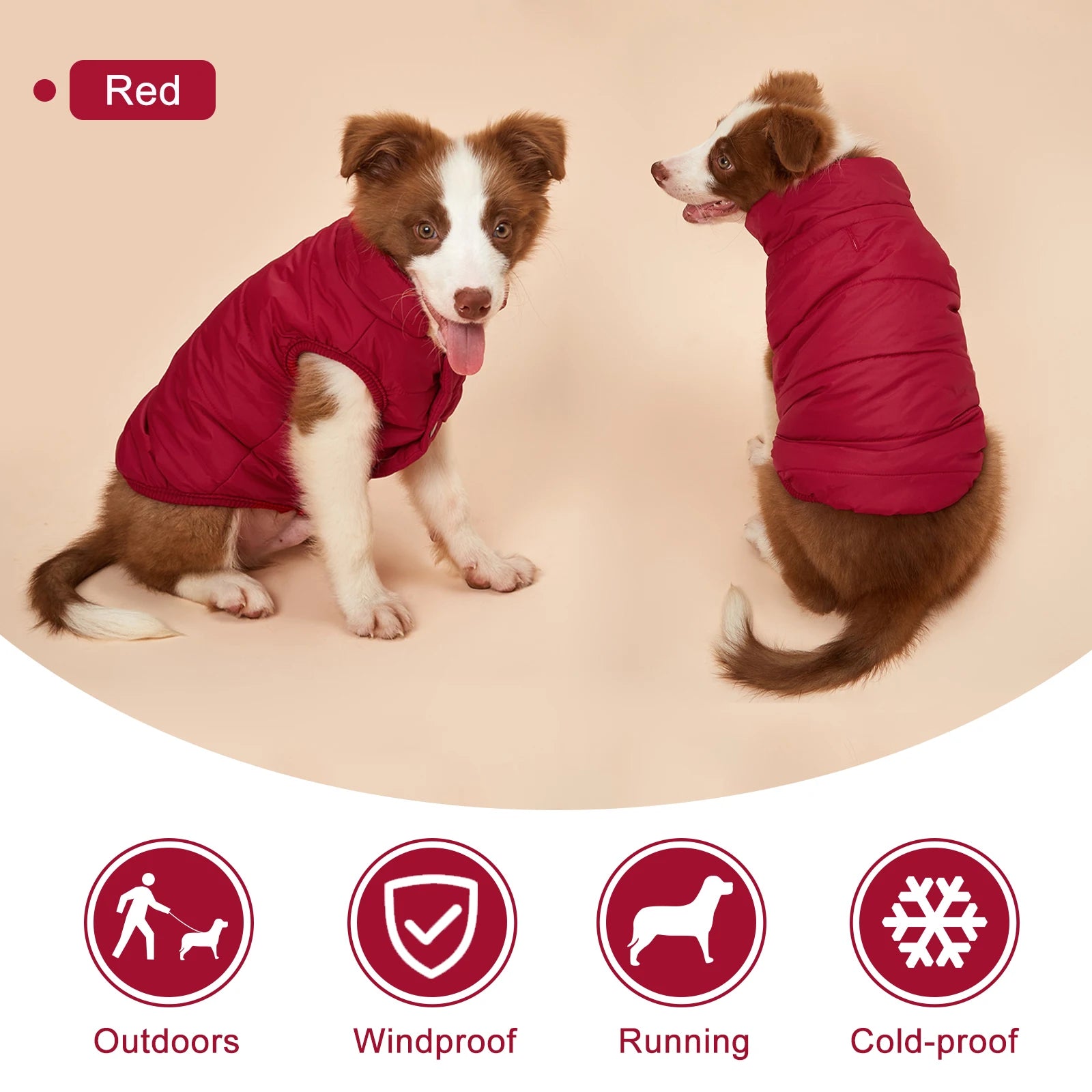 Padded Dog Gilet with Lead Hole