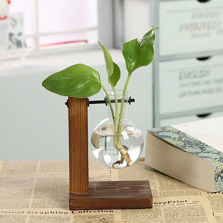 Hydroponic Plant Terrarium – Glass Vase with Wooden Stand for Home & Office