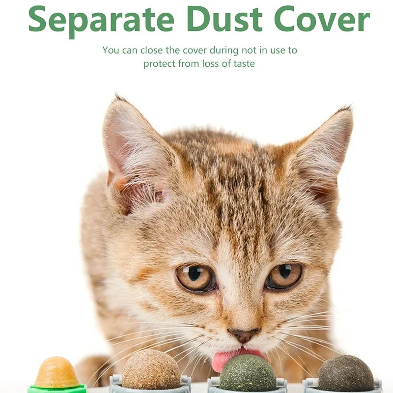 Wall-Mounted Catnip Ball Toy, 4 Balls