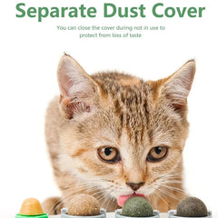 Wall-Mounted Catnip Ball Toy, 4 Balls