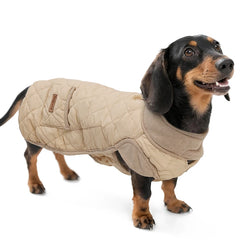 Dachshund Winter Coat, Water-Repellent