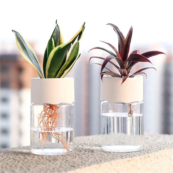 Mini Hydroponic Plant Pot, Transparent Self-Watering Vase for Home & Office