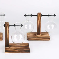 Hydroponic Plant Terrarium – Glass Vase with Wooden Stand for Home & Office