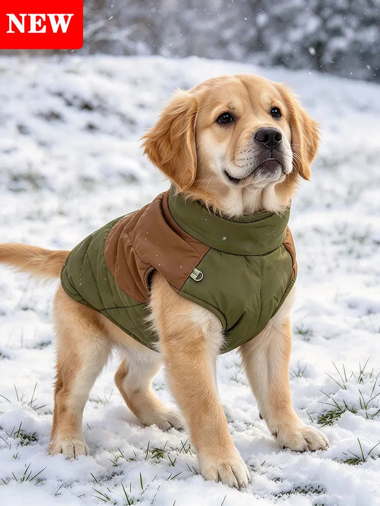 Waterproof Padded Dog Jacket
