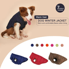 Padded Dog Gilet with Lead Hole