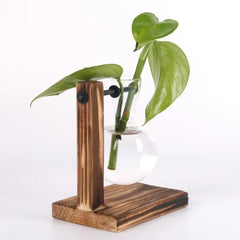 Hydroponic Plant Terrarium – Glass Vase with Wooden Stand for Home & Office