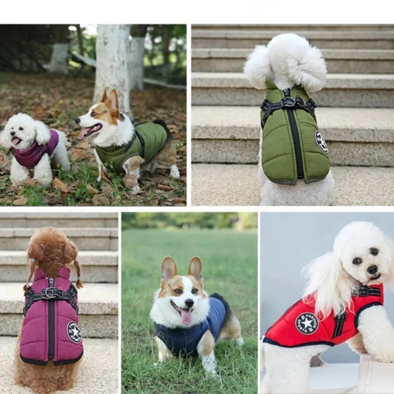 Waterproof Dog Coat with Built-In Harness, S to 4XL