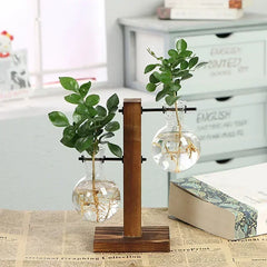Hydroponic Plant Terrarium – Glass Vase with Wooden Stand for Home & Office