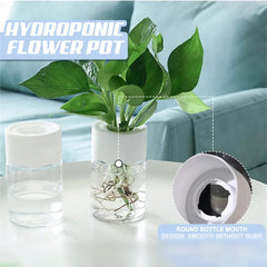 Mini Hydroponic Plant Pot – Transparent Self-Watering Vase for Home & Office