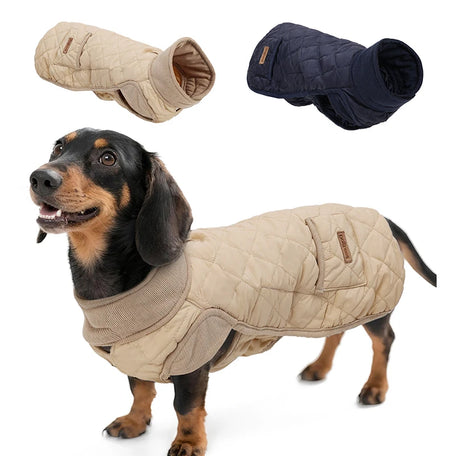 Dachshund winter coat, photo 1
