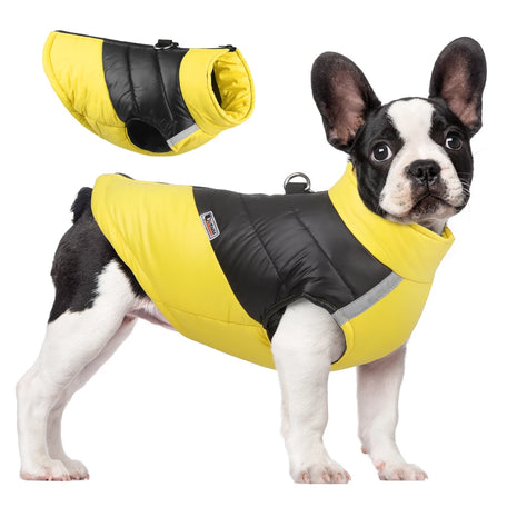 Waterproof padded dog jacket, photo 1