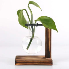 Hydroponic Plant Terrarium – Glass Vase with Wooden Stand for Home & Office