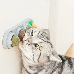 Wall-Mounted Catnip Ball Toy, 4 Balls