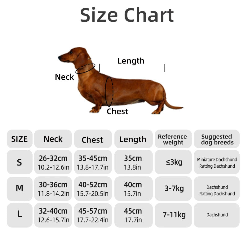 Dachshund Winter Coat, Water-Repellent