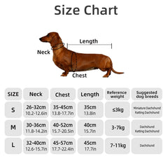 Dachshund Winter Coat, Water-Repellent