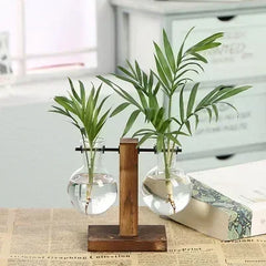 Hydroponic Plant Terrarium – Glass Vase with Wooden Stand for Home & Office