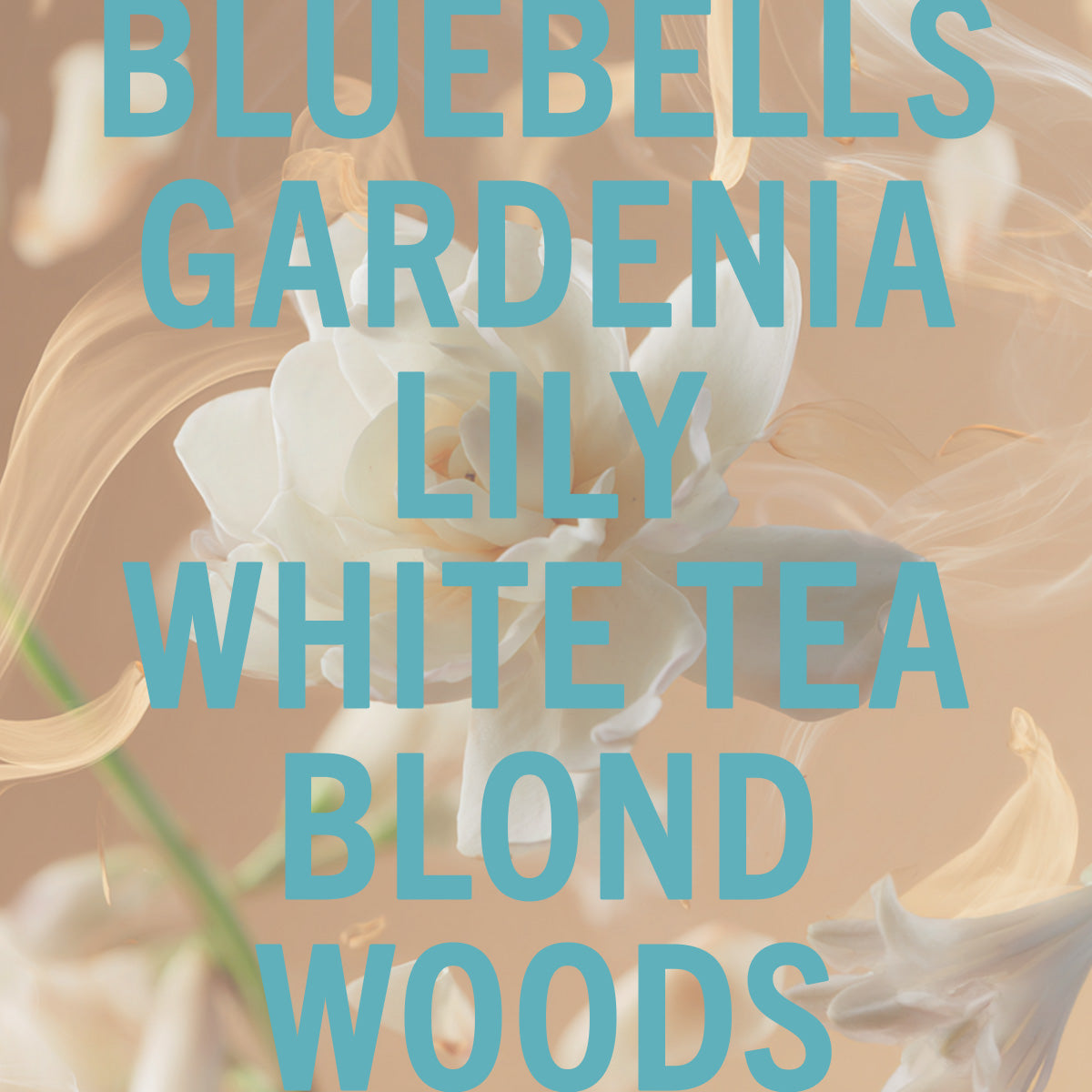 Tallulah's Camellia 10ml Purse Spray – Bluebell & White Flowers
