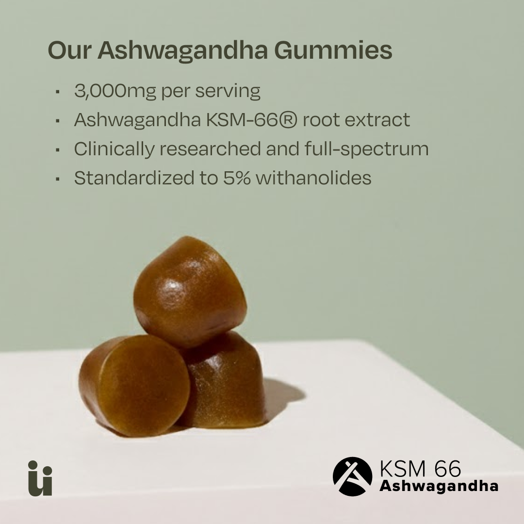 Calm + Focus Bundle – Mushroom Gummies & Ashwagandha Gummies