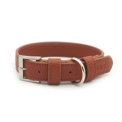 Ralph & Co Lignify Vegan Dog Collar, Brown