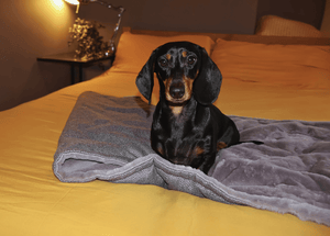 Ralph & Co Balmoral Grey Herringbone & Faux Fur Dog Blanket