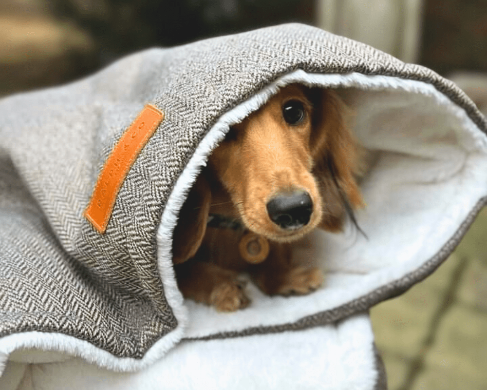 Ralph & Co Lincoln Tweed & Faux Fur Reversible Dog Blanket