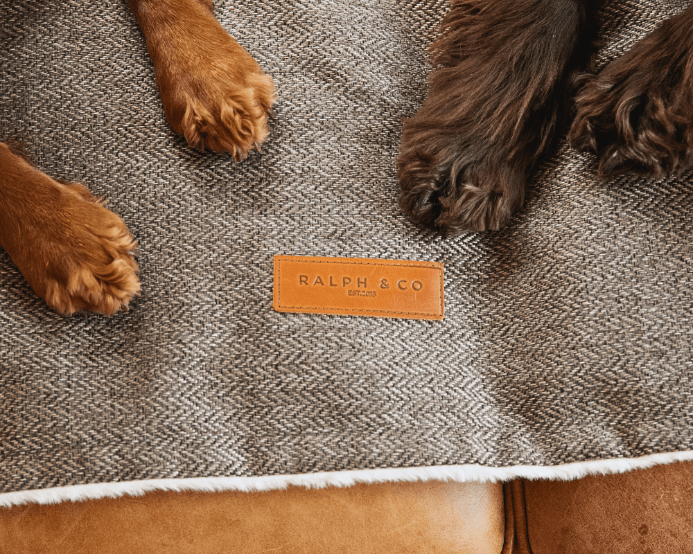Ralph & Co Lincoln Tweed & Faux Fur Reversible Dog Blanket