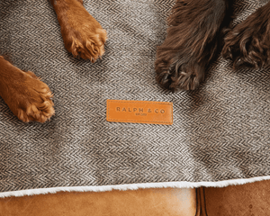 Ralph & Co Lincoln Tweed & Faux Fur Reversible Dog Blanket