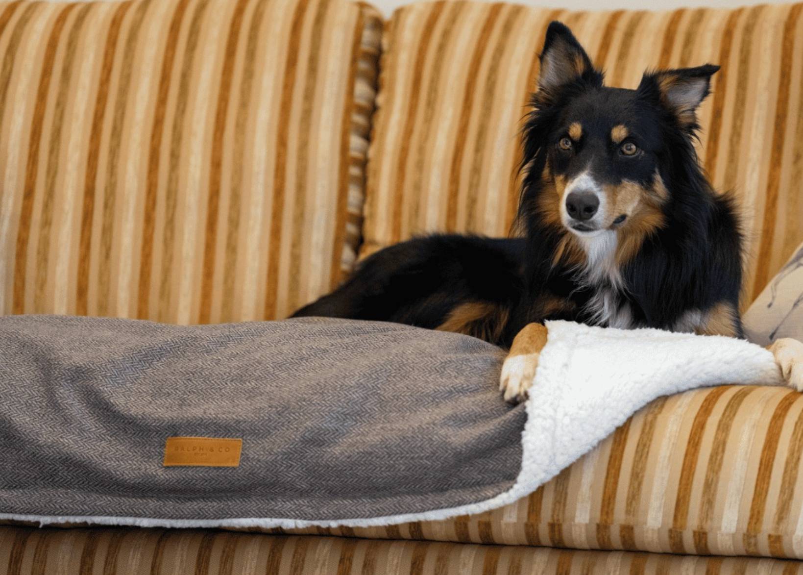 Ralph & Co Lincoln Tweed & Faux Fur Reversible Dog Blanket
