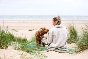 Ralph & Co Richmond Green Stonewashed & Sherpa Dog Blanket