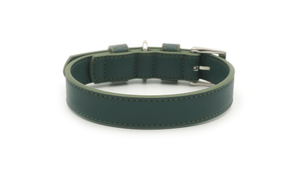 Ralph & Co Lignify Vegan Dog Collar, Green