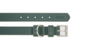 Ralph & Co Lignify Vegan Dog Collar, Green