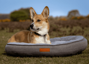 Ralph & Co Balmoral Grey Herringbone Donut Dog Bed
