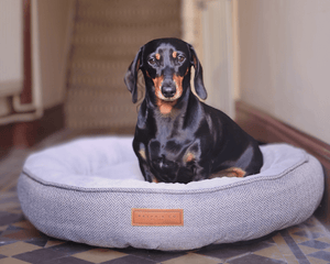 Ralph & Co Balmoral Grey Herringbone Donut Dog Bed