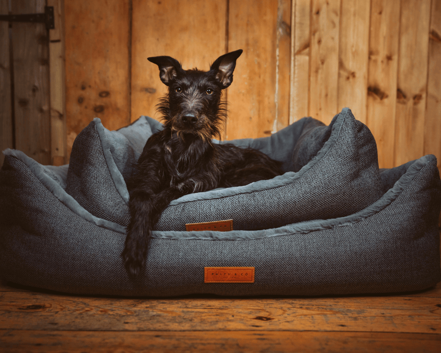 Ralph & Co Balmoral Grey Herringbone Bolster Dog Bed