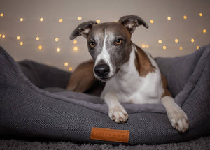 Ralph & Co Balmoral Grey Herringbone Bolster Dog Bed