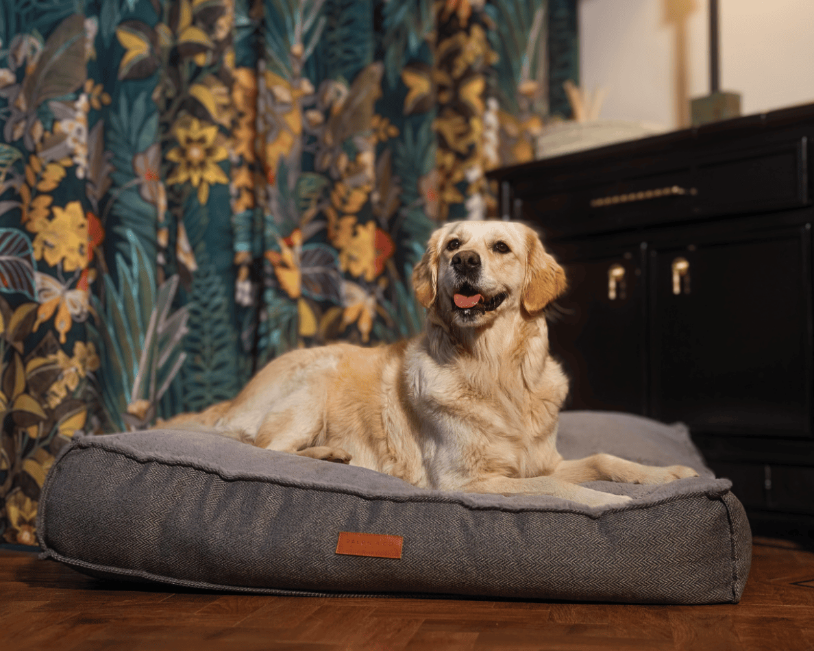 Ralph & Co Balmoral Grey Herringbone Flat Pillow Dog Bed