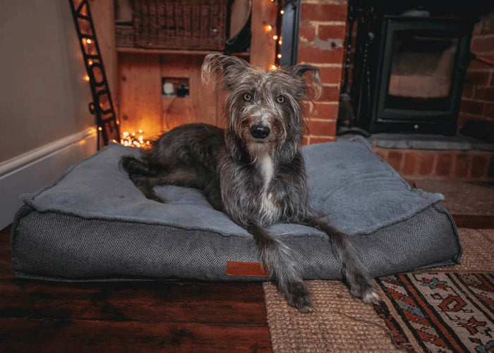 Ralph & Co Balmoral Grey Herringbone Flat Pillow Dog Bed, image 2