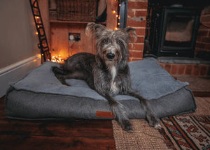 Ralph & Co Balmoral Grey Herringbone Flat Pillow Dog Bed