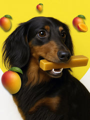 Mango Yak Dog Chew – Long Lasting Himalayan Milk Chew, Medium to XL
